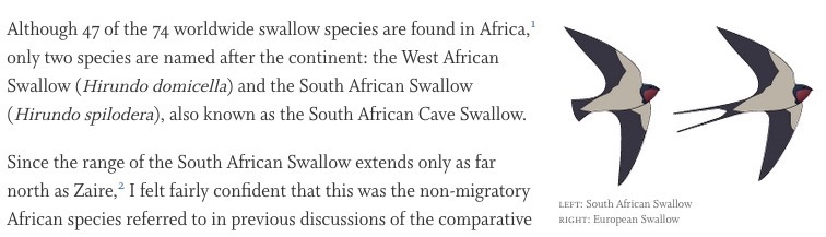 screen shot of an article using an image, offset from the primary content, to indicate the visual differences between a South African and European Swallow. Text in the image notes the South African Swallow is on the left, and the European Swallow is on the right.